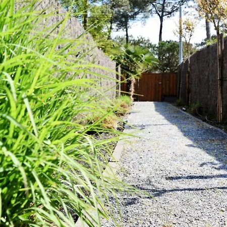 ベッド・アンド・ブレックファスト De Charme